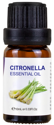 Essential Oil 10ml Citronella