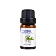Essential Oil 10ml Tea Tree