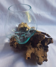 Gamal Root With Aquarium