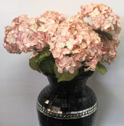 SWEET CANDY HYDRANGEAS SET3