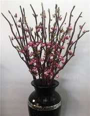 DARK PINK CHERRY BLOSSOM SET2