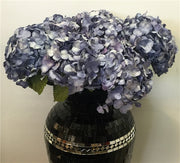 BLUE COMBO HYDRANGEAS SET3